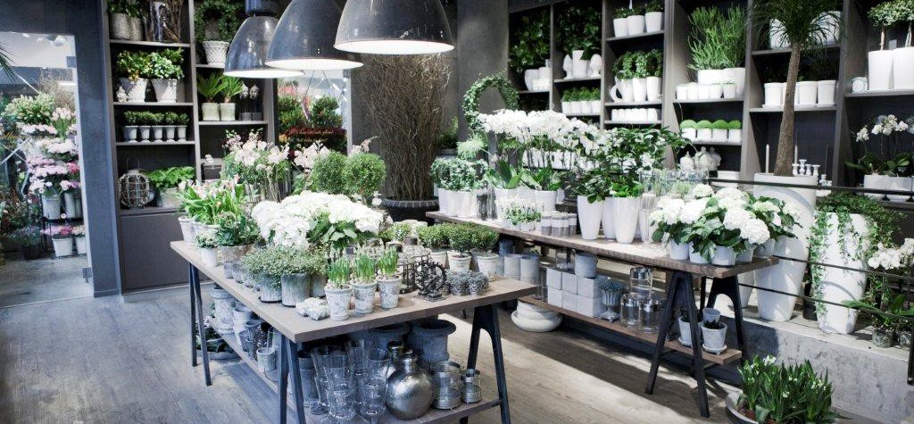 regeringsgatans blommor mood stockholm